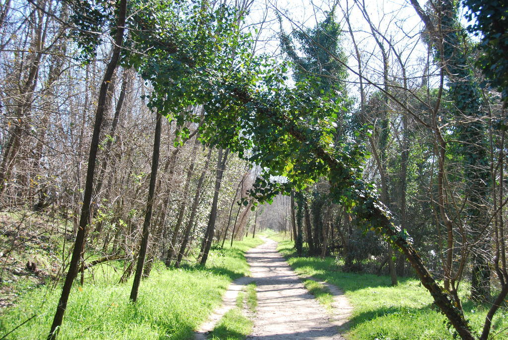 B&B Percorso Verde Ponte Valleceppi Exteriér fotografie